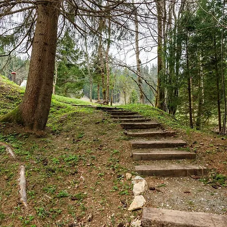 Alpine Daffodil Retreat * ゴレンスカ地方