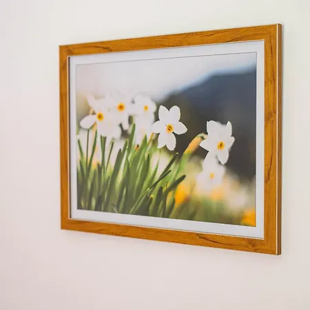 Alpine Daffodil Retreat アパート